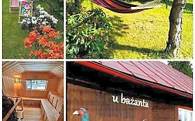 u bażanta